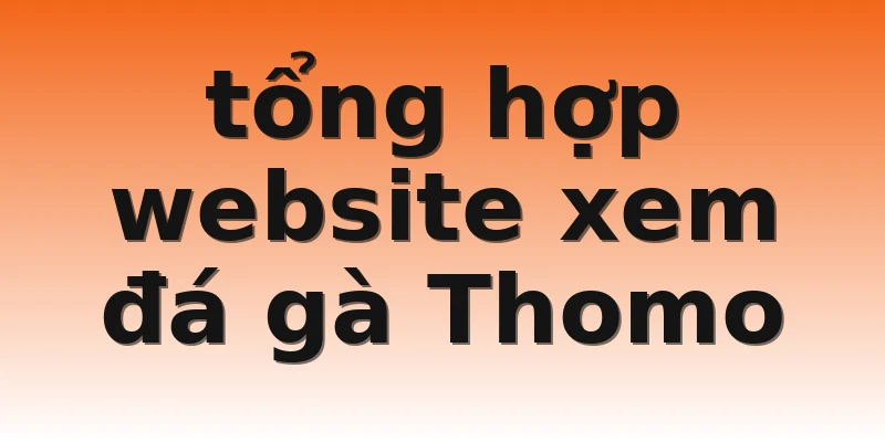 tổng hợp website xem đá gà Thomo