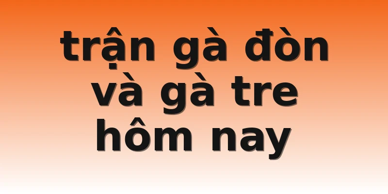 trận gà đòn và gà tre hôm nay