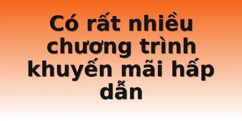 Có rất nhiều chương trình khuyến mãi hấp dẫn