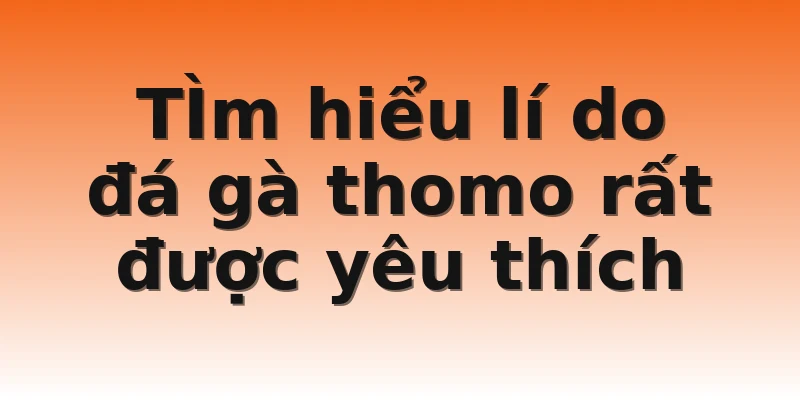 TÌm hiểu lí do đá gà thomo rất được yêu thích
