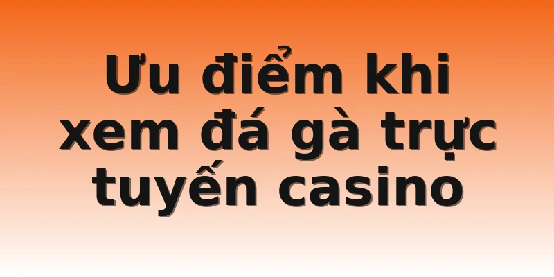 Ưu điểm khi xem đá gà trực tuyến casino