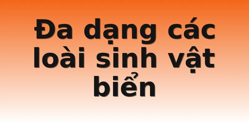 Đa dạng các loài sinh vật biển