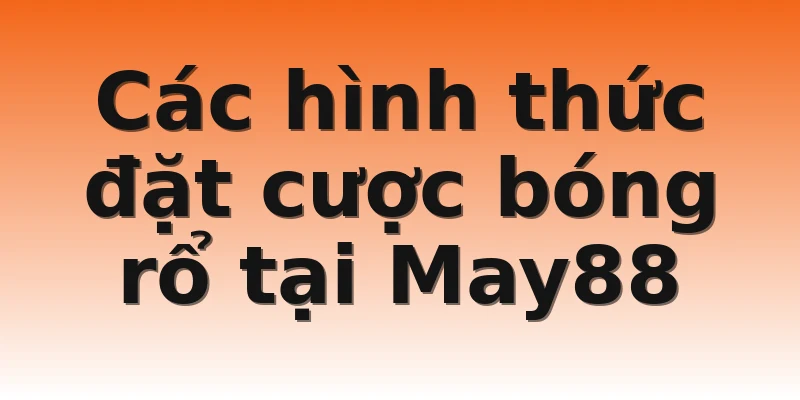Các hình thức đặt cược bóng rổ tại May88
