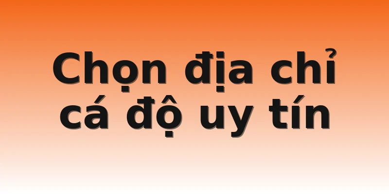 Chọn địa chỉ cá độ uy tín