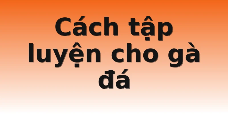 Cách tập luyện cho gà đá
