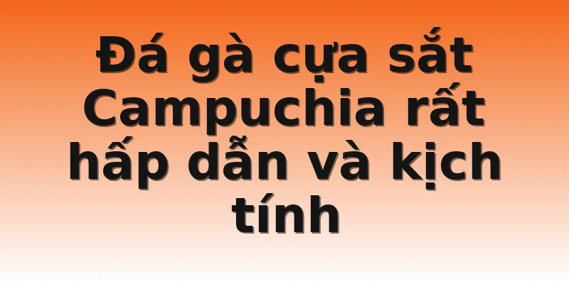 Đá gà cựa sắt Campuchia rất hấp dẫn và kịch tính