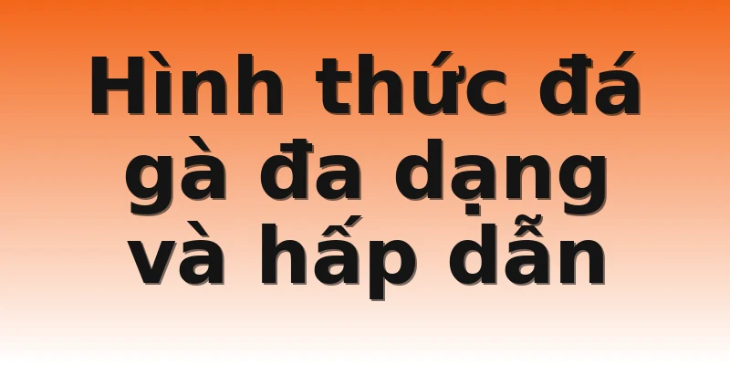 Hình thức đá gà đa dạng và hấp dẫn