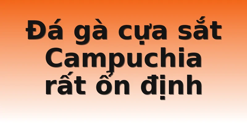 Đá gà cựa sắt Campuchia rất ổn định