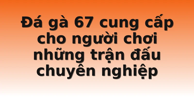 Đá gà 67 cung cấp cho người chơi những trận đấu chuyên nghiệp