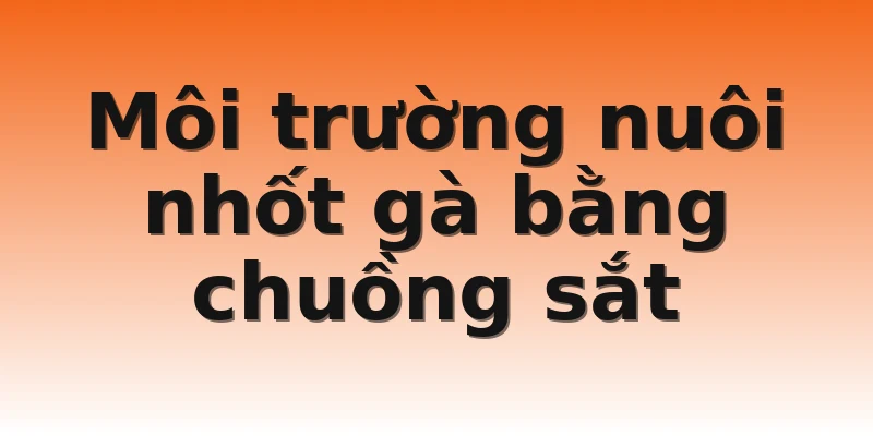 Môi trường nuôi nhốt gà bằng chuồng sắt