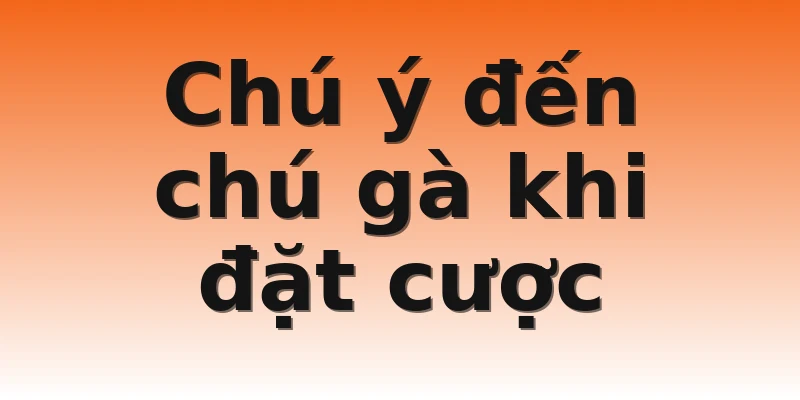 Chú ý đến chú gà khi đặt cược