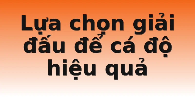 Lựa chọn giải đấu để cá độ hiệu quả