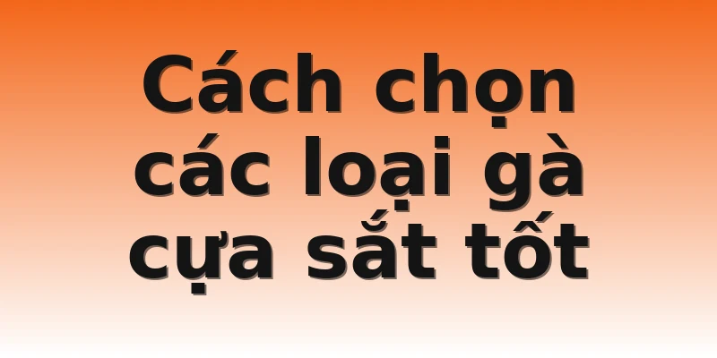 Cách chọn các loại gà cựa sắt tốt