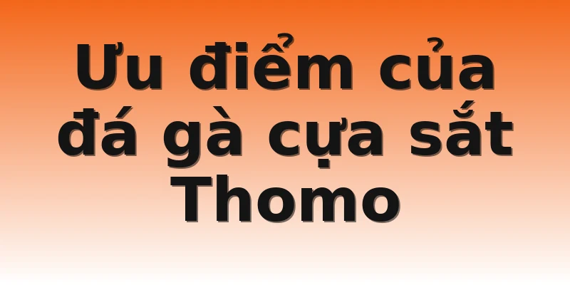 Ưu điểm của đá gà cựa sắt Thomo