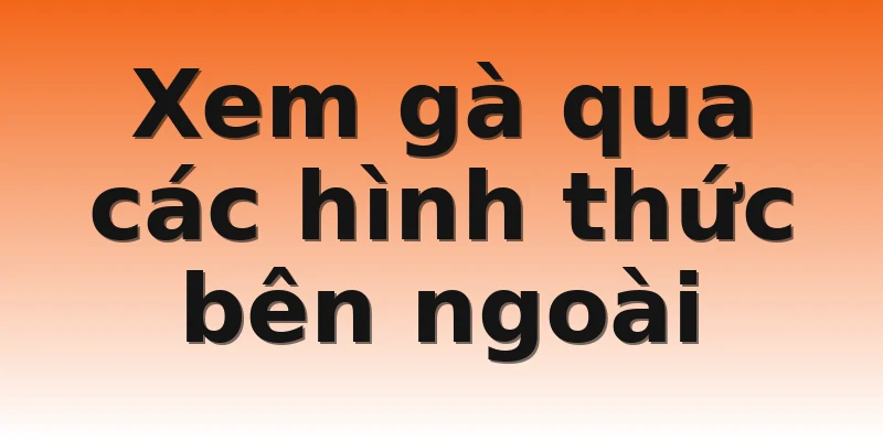 Xem gà qua các hình thức bên ngoài