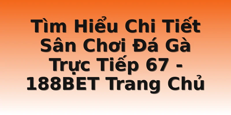 Tìm Hiểu Chi Tiết Sân Chơi Đá Gà Trực Tiếp 67 - 188BET Trang Chủ
