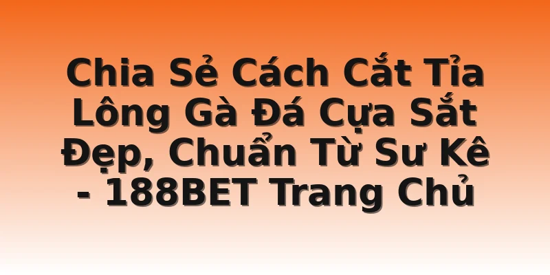 Chia Sẻ Cách Cắt Tỉa Lông Gà Đá Cựa Sắt Đẹp, Chuẩn Từ Sư Kê - 188BET Trang Chủ