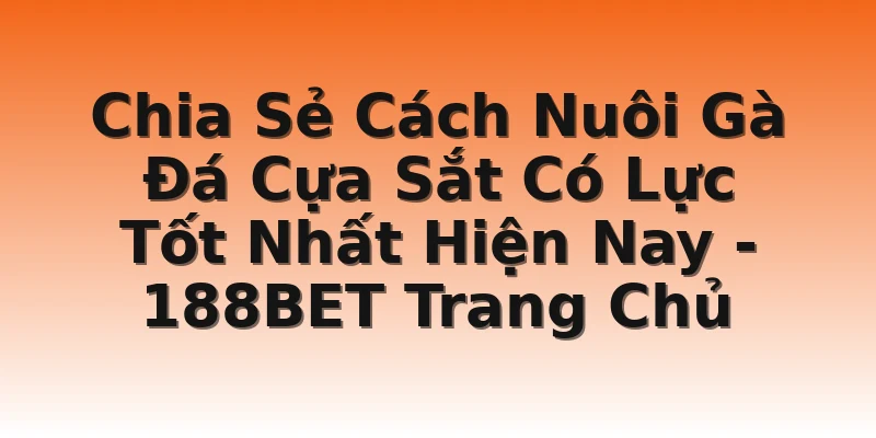 Chia Sẻ Cách Nuôi Gà Đá Cựa Sắt Có Lực Tốt Nhất Hiện Nay - 188BET Trang Chủ