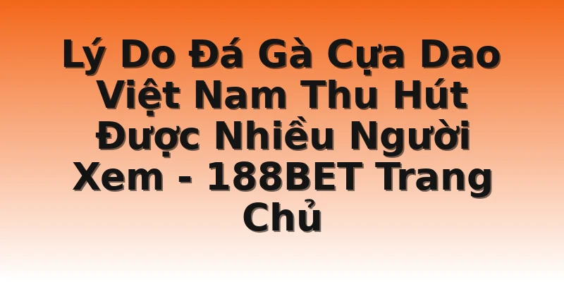 Lý Do Đá Gà Cựa Dao Việt Nam Thu Hút Được Nhiều Người Xem - 188BET Trang Chủ