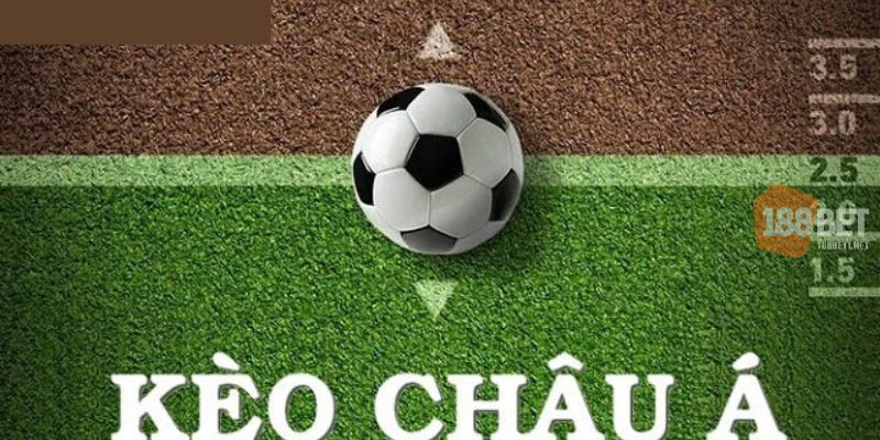 Bí kíp “ Xương máu” khi cá cược trực tiếp kèo nhà cái 